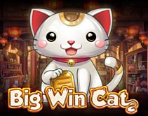 Big Win Cat Big Win Cat