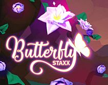 Butterfly Staxx Butterfly Staxx
