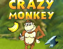 Crazy Monkey Crazy Monkey