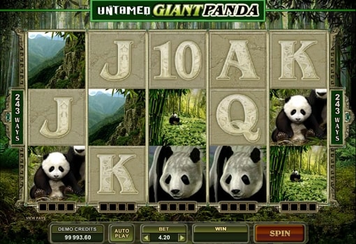 Ігрові автомати з виведенням грошей - Untamed Giant Panda Ігрові автомати з виведенням грошей - Untamed Giant Panda