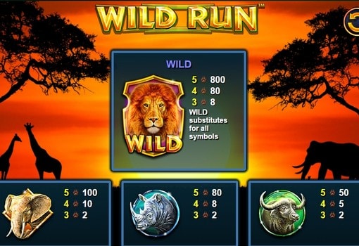 Ігровий апарат Wild Run - виплати за символи Виплати за символи в ігровому апараті Wild Run