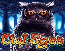 Owl Eyes Owl Eyes
