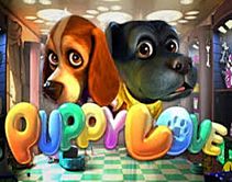 Puppy Love Puppy Love
