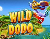 Wild Dodo Wild Dodo