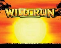Wild Run Wild Run