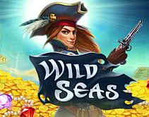 Wild Seas Wild Seas