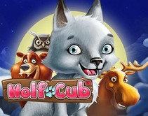 Wolf Cub Wolf Cub